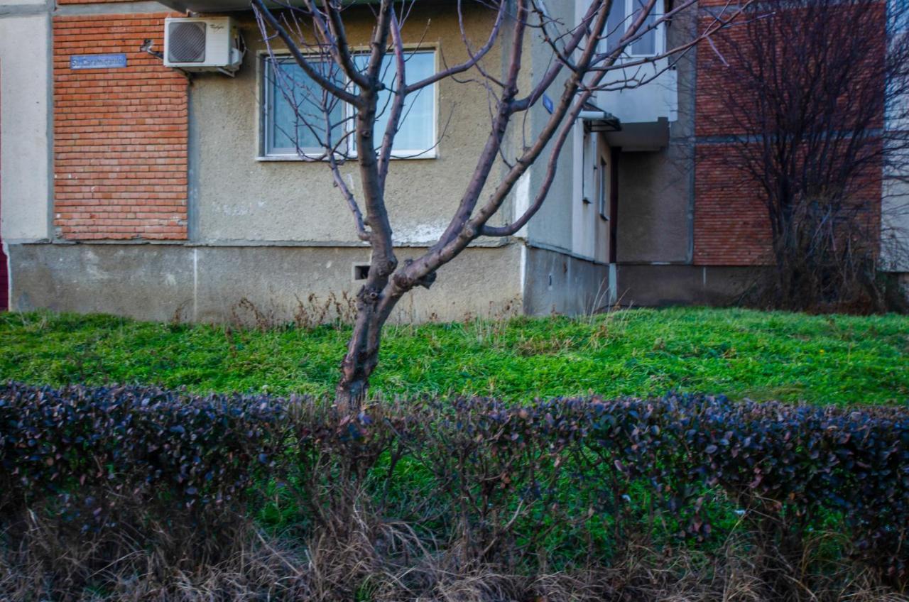 Hera'S Bohemian Home Arad Zewnętrze zdjęcie